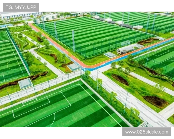 凯发体育网址官方平台全面解析，提供最优质的体育赛事直播体验