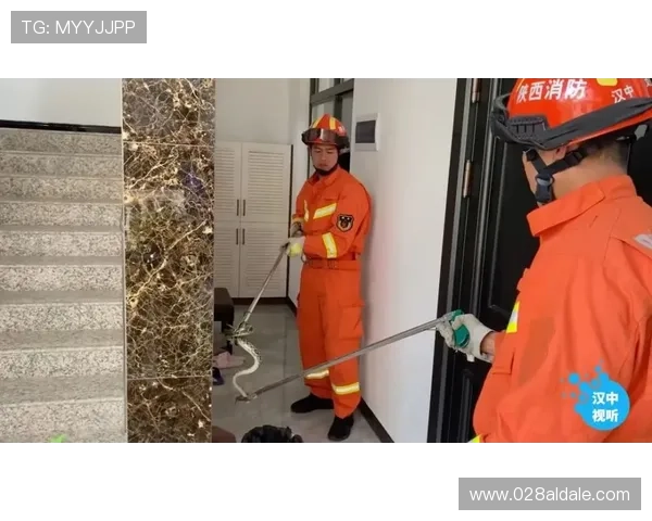 凯发电子网址安全保障措施，确保玩家个人信息与资金安全